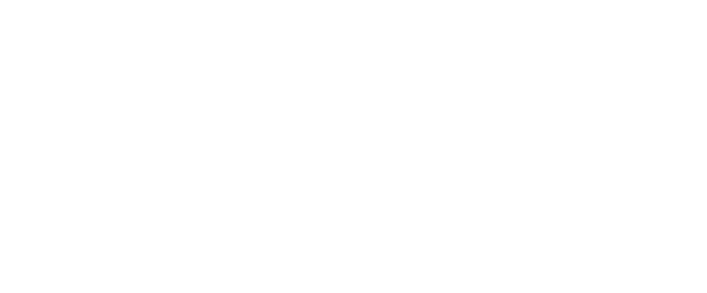 Velaris Lab